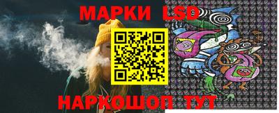 стафф Донецк
