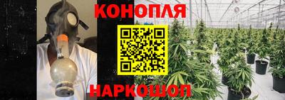 стафф Донецк