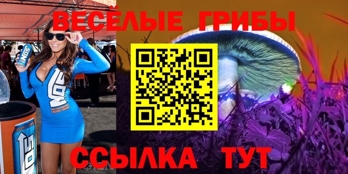 Галлюциногенные грибы Cubensis Вологда