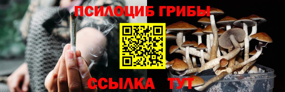 Вологда  Галлюциногенные грибы Psilocybe  дарнет шоп  Вход с VPN 